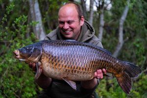 bIG aSS COMMON